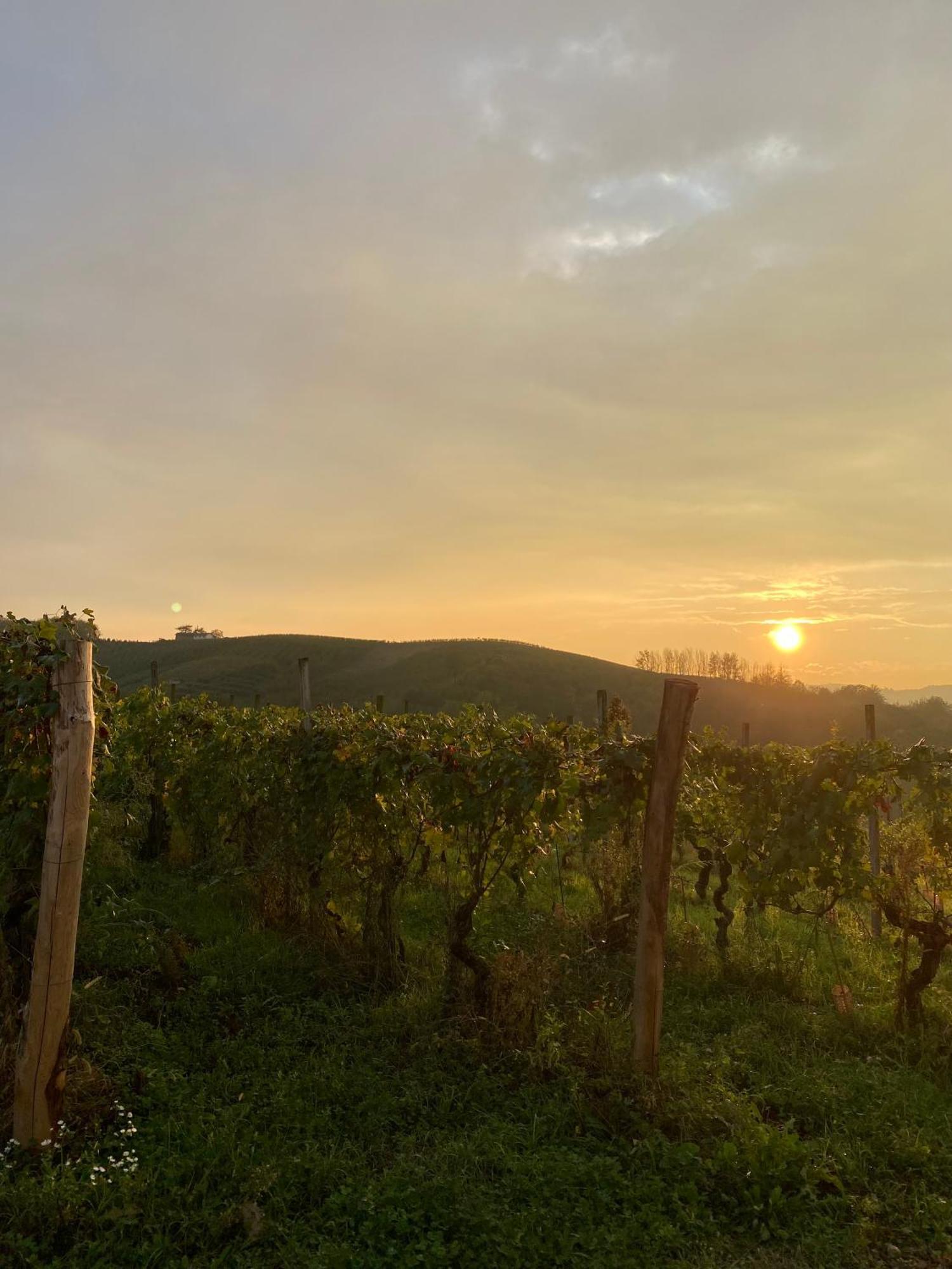 Tenuta Agricola La Cava- Cantina E Agriturismo San Damiano dʼAsti Εξωτερικό φωτογραφία