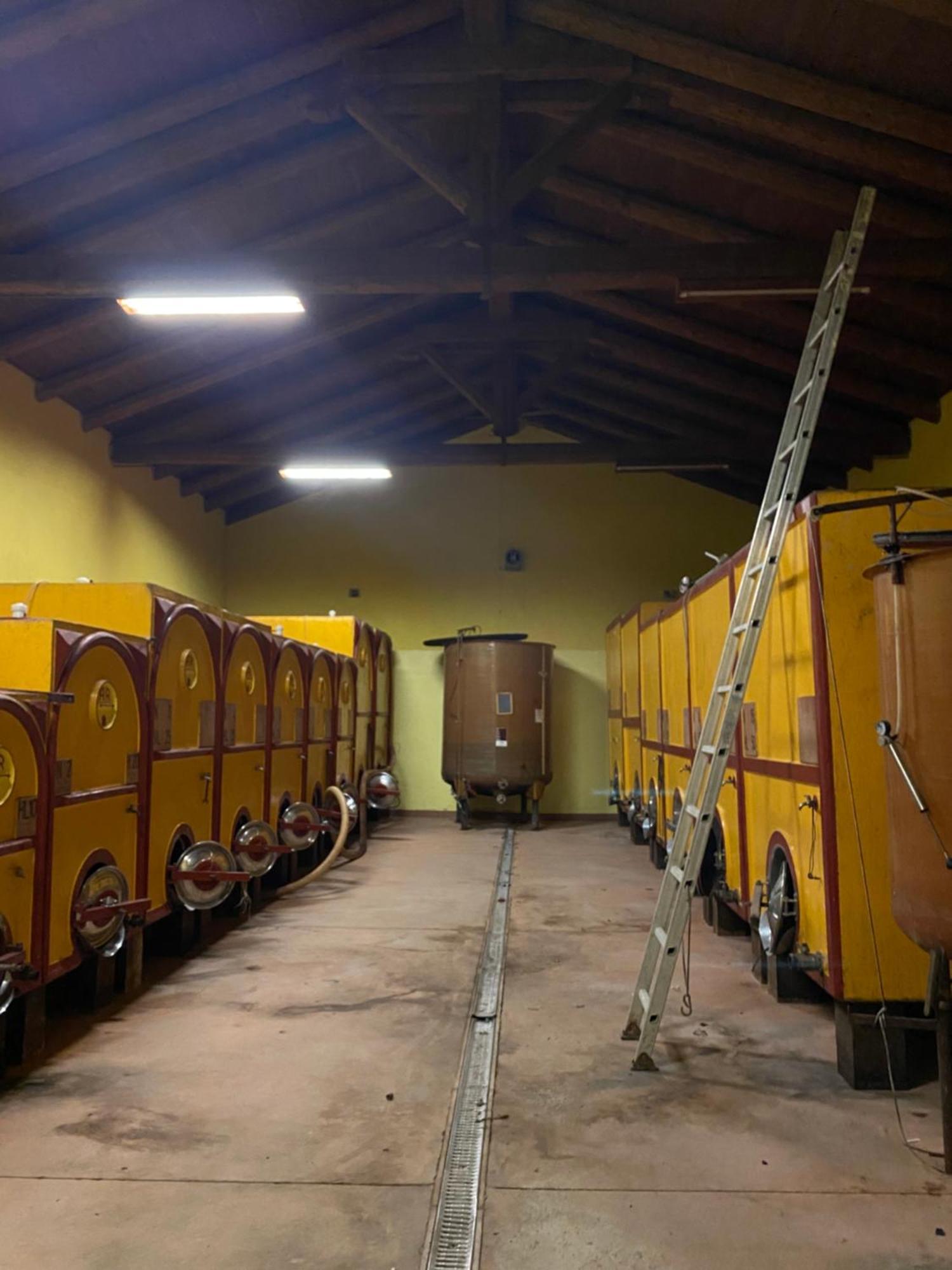 Tenuta Agricola La Cava- Cantina E Agriturismo San Damiano dʼAsti Εξωτερικό φωτογραφία