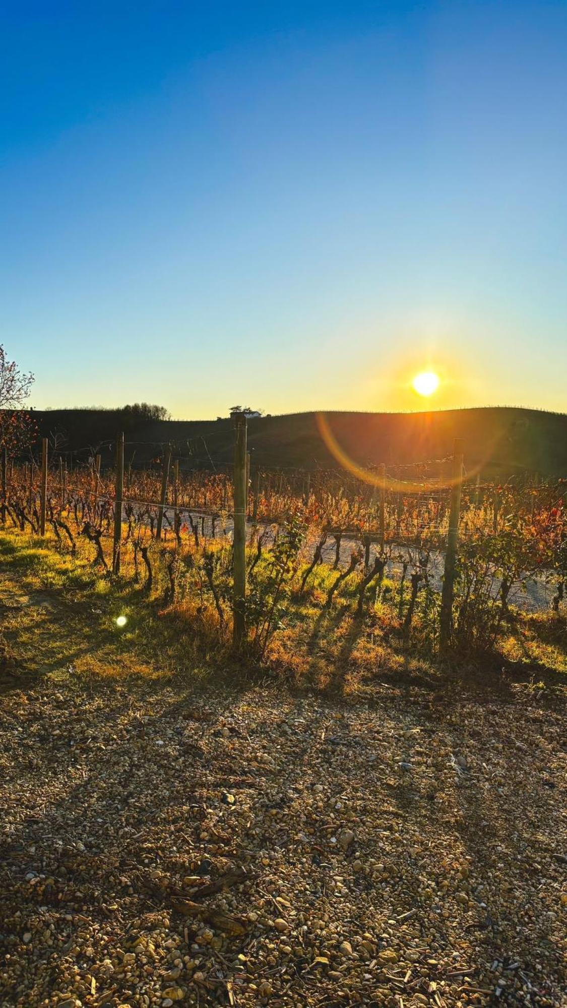 Tenuta Agricola La Cava- Cantina E Agriturismo San Damiano dʼAsti Εξωτερικό φωτογραφία