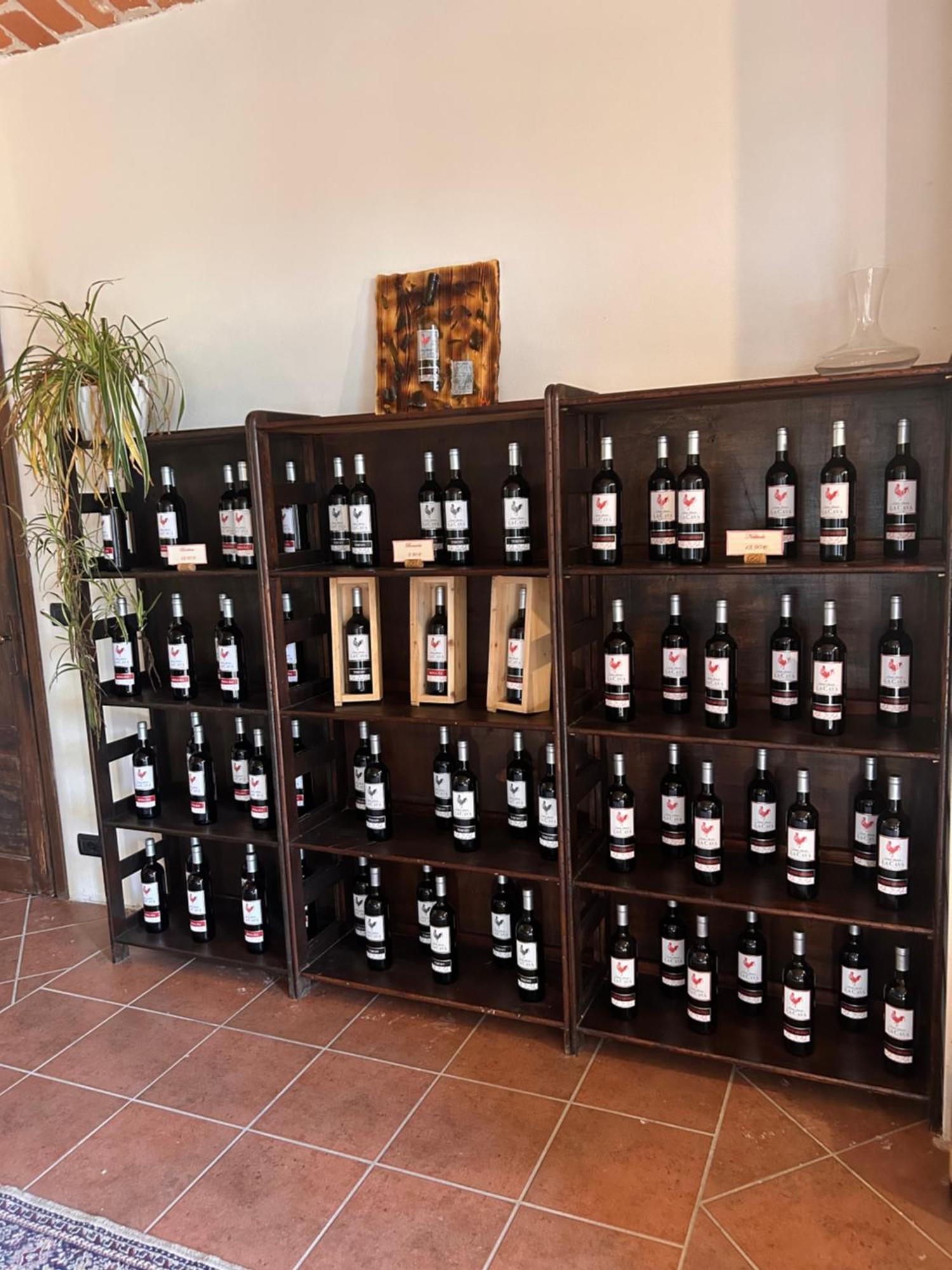 Tenuta Agricola La Cava- Cantina E Agriturismo San Damiano dʼAsti Εξωτερικό φωτογραφία