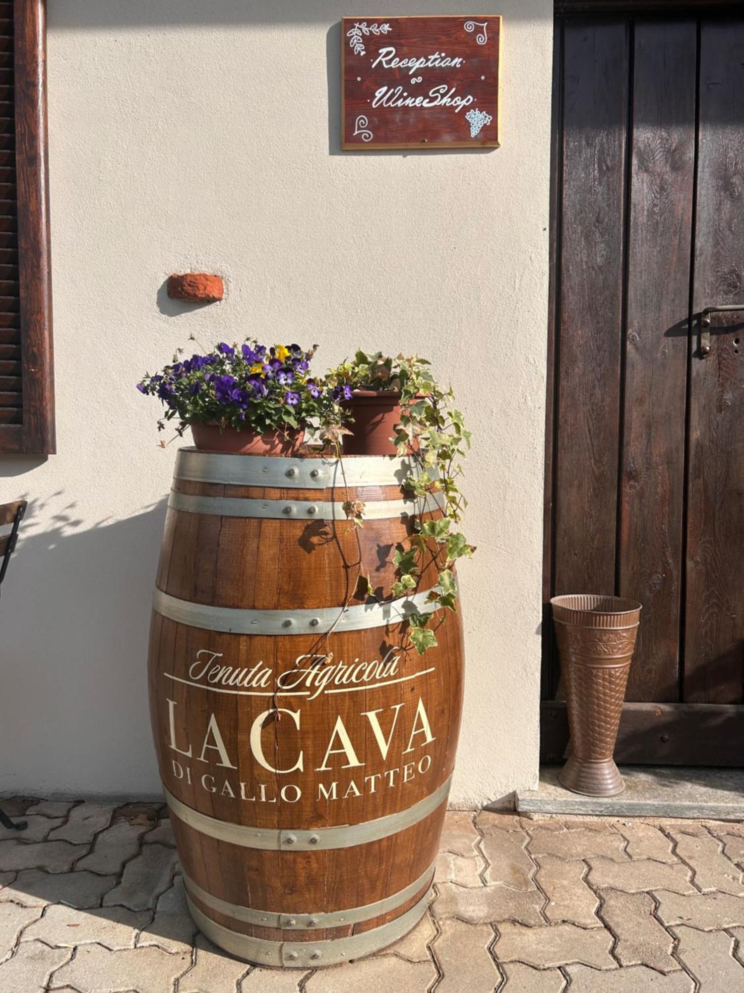 Tenuta Agricola La Cava- Cantina E Agriturismo San Damiano dʼAsti Εξωτερικό φωτογραφία